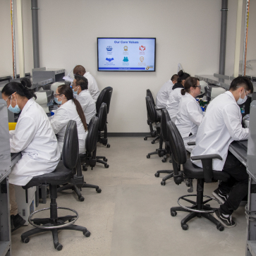 Lab technicians working at individual stations